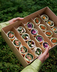 Assortiment de tortillas de saison de Batida - tortillas coupées en portions pour un service traiteur