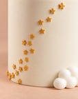 Gâteau Éléphant - Photo 3