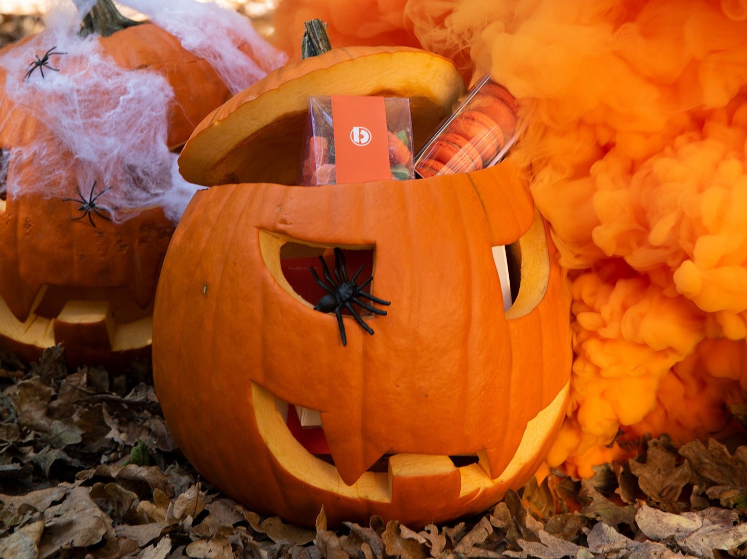 Halloween party tylko z naszym PUMPKIN BOX! - Batida
