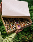 Assortiment de tortillas de saison de Batida - tortillas coupées en portions pour un service traiteur