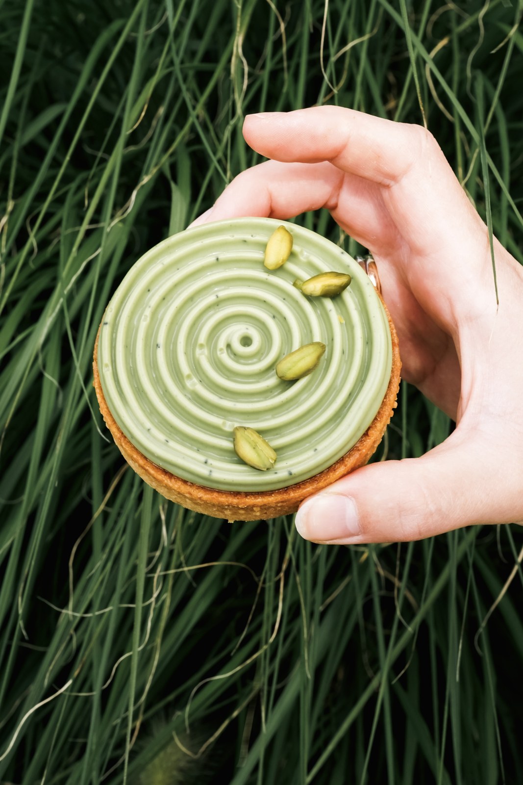 Tartaletka matcha - malina Batida - przekrój