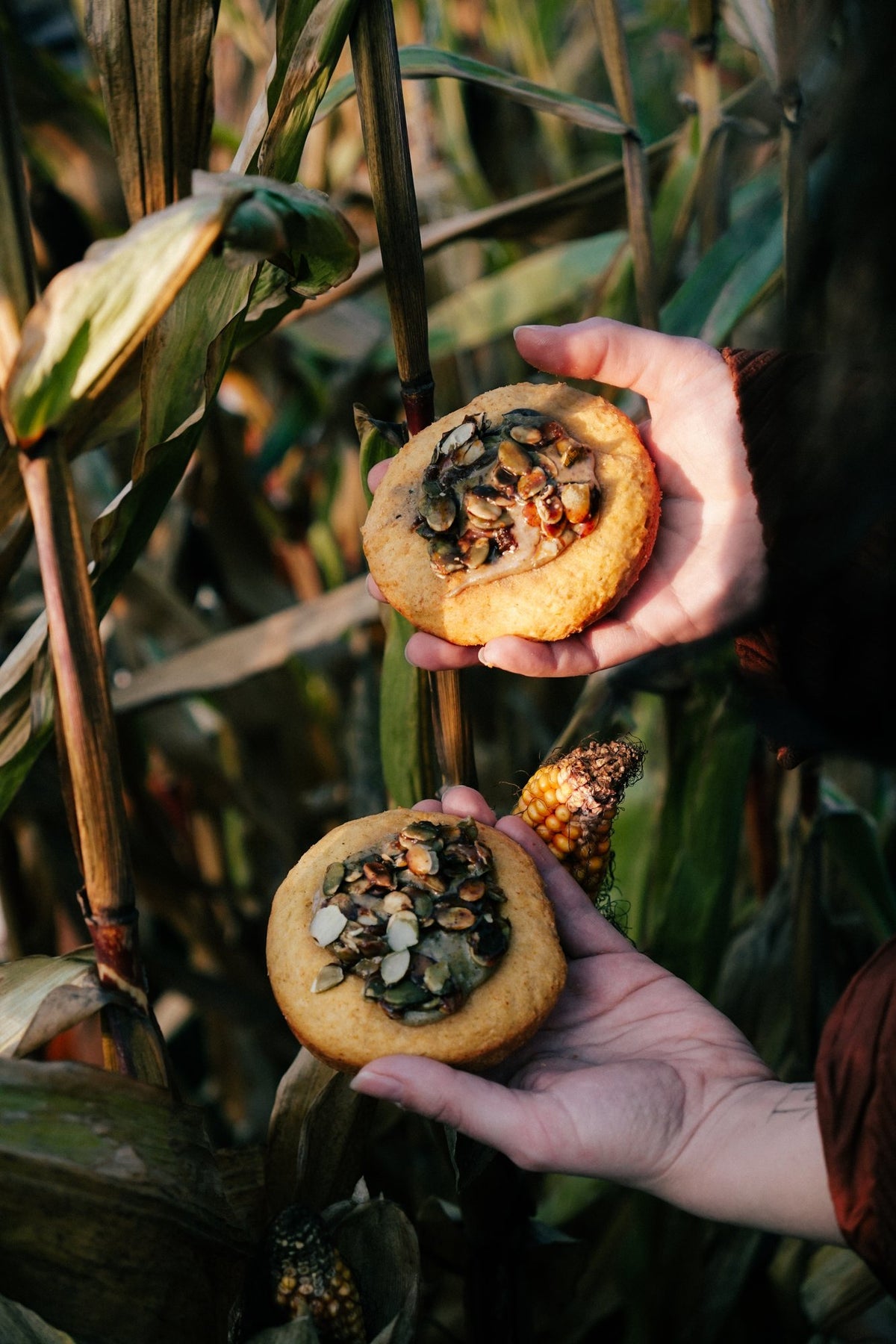 Dyniowe crumble cookies z pralinowymi pestkami dyni wśród kukurydzy