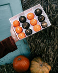 Zestaw 12 mini ptysi Halloween - pomarańczowe i czarne w pudełku