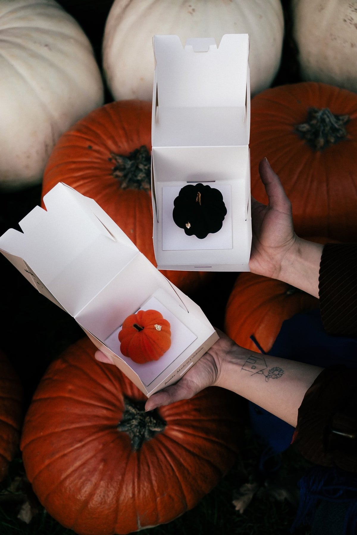 Pumpkin Latte Black i pomarańczowe Pumpkin Latte w pudełkach na tle dyń