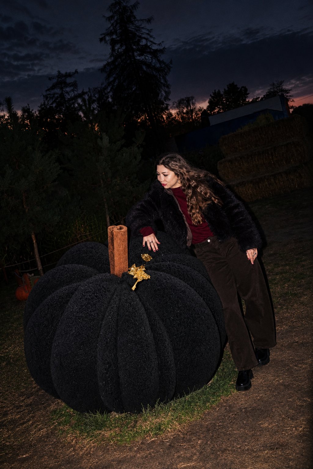 Gigantyczna czarna dynia Pumpkin Latte Black o zmierzchu