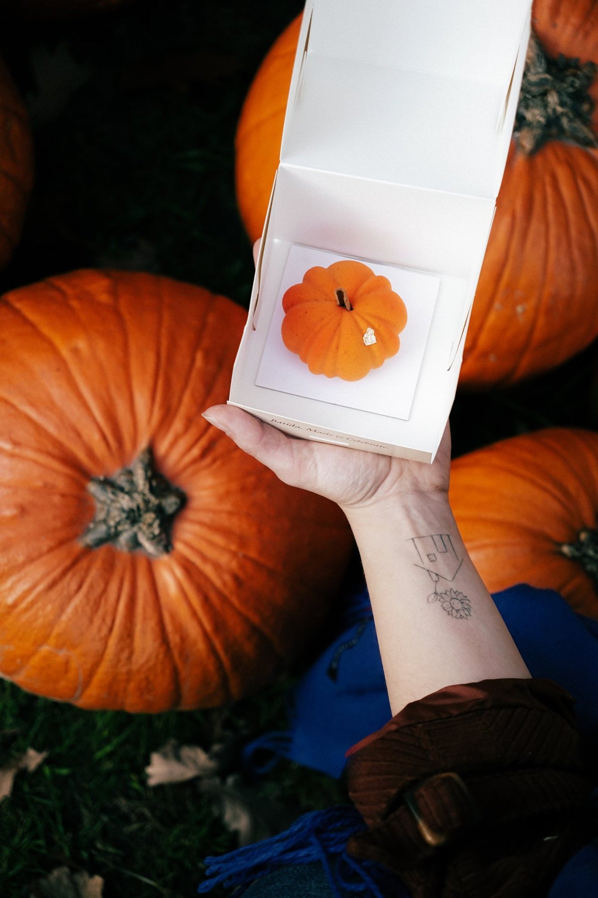 Monoporcja Pumpkin Latte w pudełku Batida na tle dyń