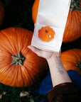 Monoporcja Pumpkin Latte w pudełku Batida na tle dyń