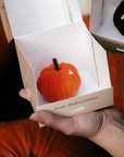 Pomarańczowa dynia Pumpkin Latte w otwartym pudełku Batida