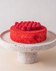 Kuchen Roter Samt von Batida - lockerer roter Biskuit mit Creme aus Mascarpone und Quark, mit Himbeeren dekoriert