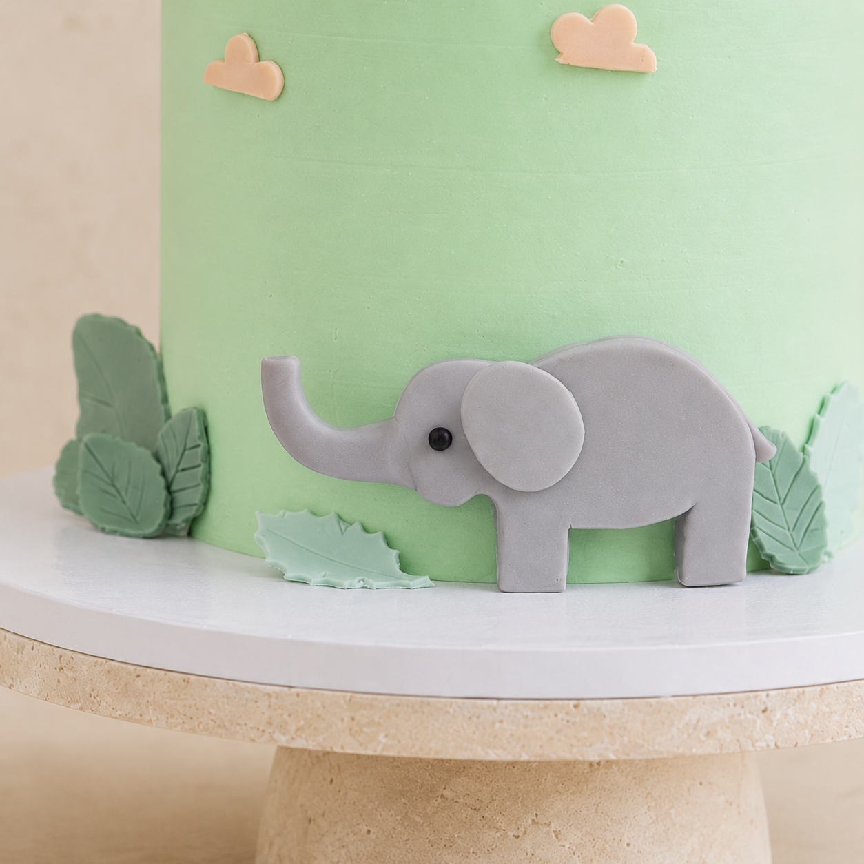 Tort Safari